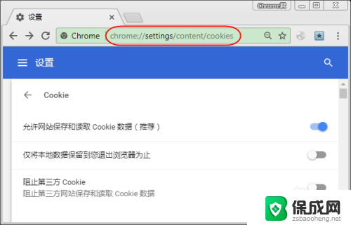 chrome的cookie在哪 Chrome浏览器如何查看历史记录