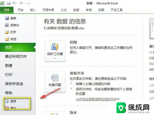 excel2010如何打开多个独立窗口 Excel2010如何同时显示两个独立窗口