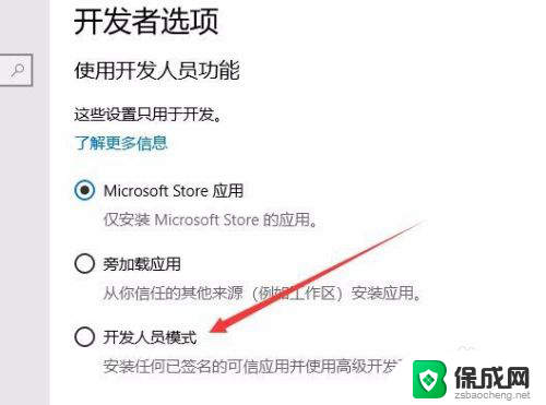 怎么启用开发者选项 win10怎么样打开开发者选项