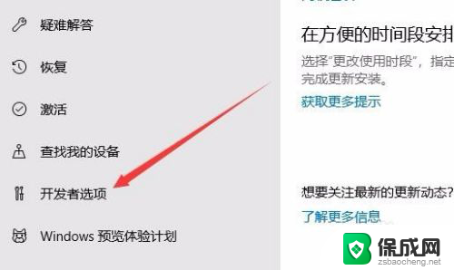 怎么启用开发者选项 win10怎么样打开开发者选项