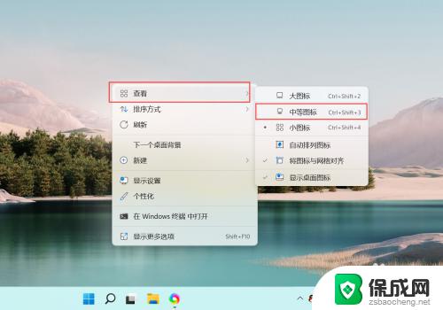 windows11如何调整桌面图标大小 如何在Windows11上调整桌面图标大小