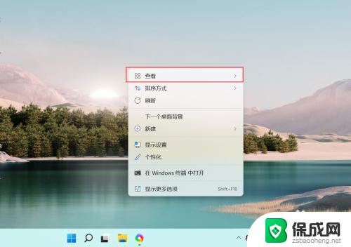 windows11如何调整桌面图标大小 如何在Windows11上调整桌面图标大小