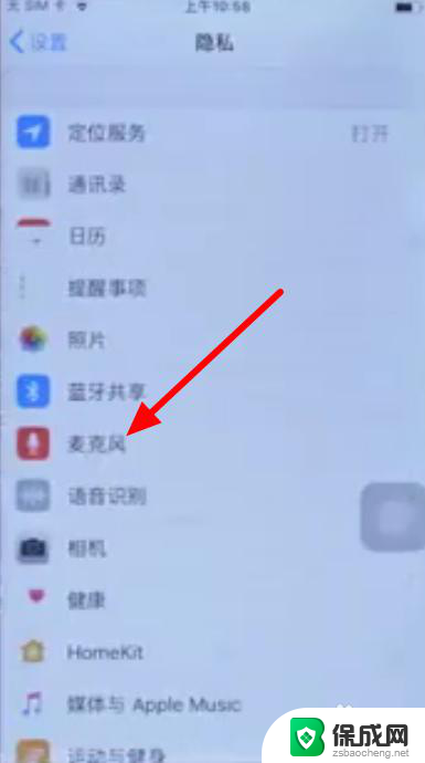 苹果13麦克风模式关闭了,怎样才能打开? 苹果麦克风设置方法
