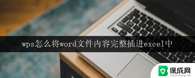 wps怎么将word文件内容完整插进excel中 wps如何将word文件内容完整插入excel中