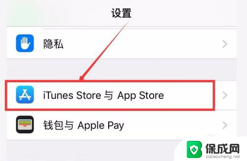 苹果手机怎么关闭软件更新提示 iPhone 应用程序自动更新怎么关闭