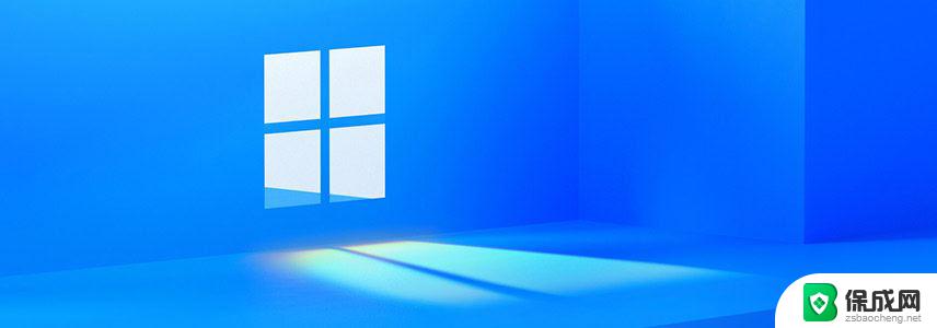 win11家庭中文版和专业版哪个好? Windows 11家庭版和专业版功能对比