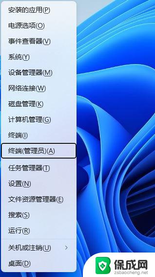 windows11无法打开应用商店 Win11自带应用商店无法打开怎么办