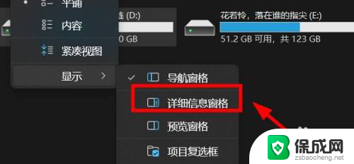 win11文件夹显示的详细信息 Windows11文件详细窗格怎么打开