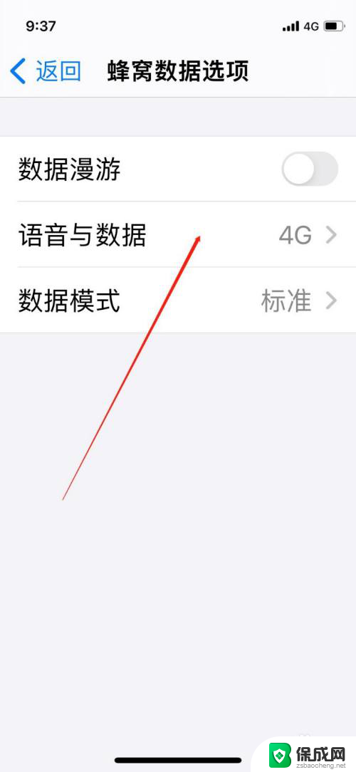 苹果怎样设置5g网络 iPhone手机如何开启5G信号