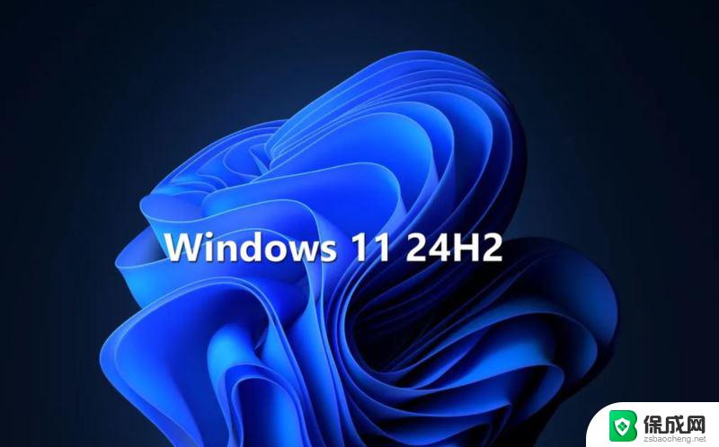 win11安装dx9.0无效 Win11 24H2 安装 9 月更新不支持操作错误