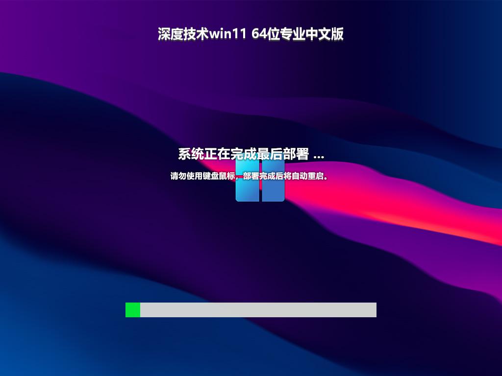 深度技术win11 64位专业中文版