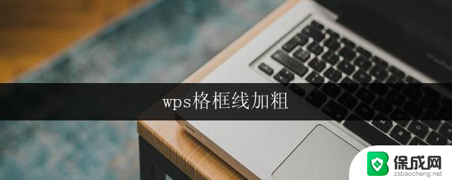 wps格框线加粗 wps表格如何加粗格线