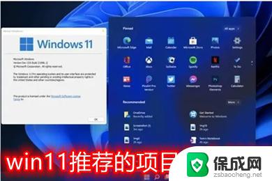 win11的推荐项目怎么关 win11推荐项目关闭设置在哪里